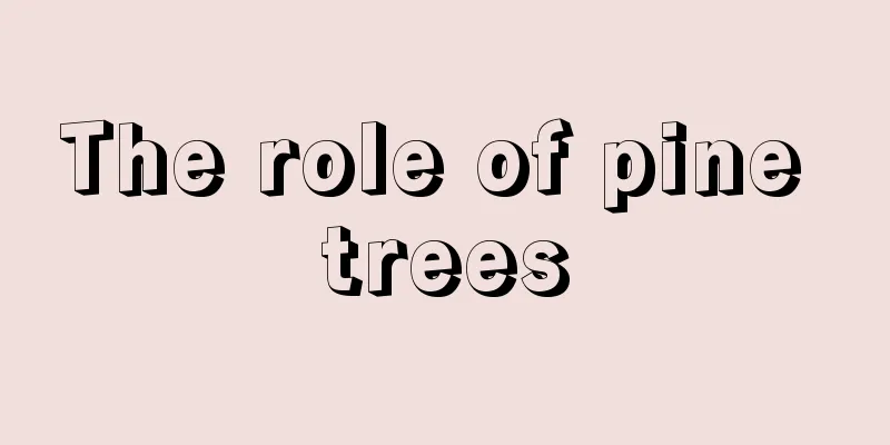 The role of pine trees