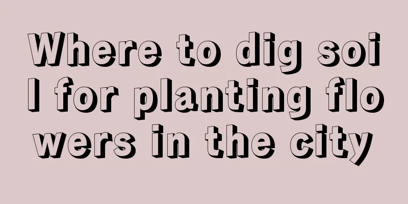 Where to dig soil for planting flowers in the city