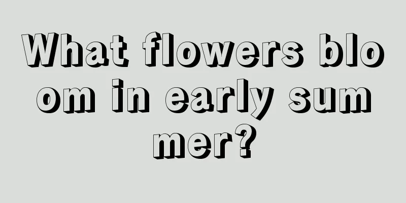 What flowers bloom in early summer?