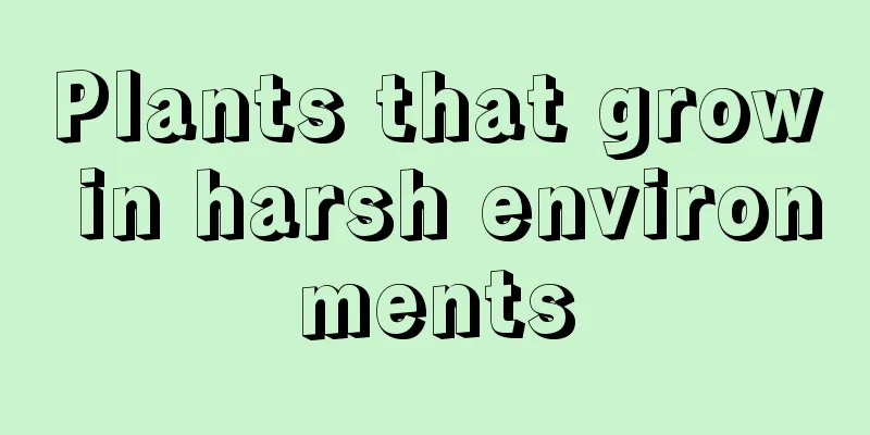 Plants that grow in harsh environments