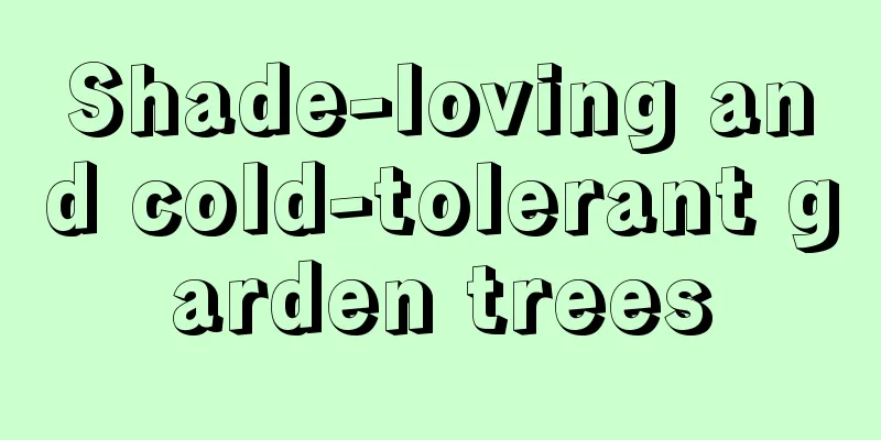 Shade-loving and cold-tolerant garden trees