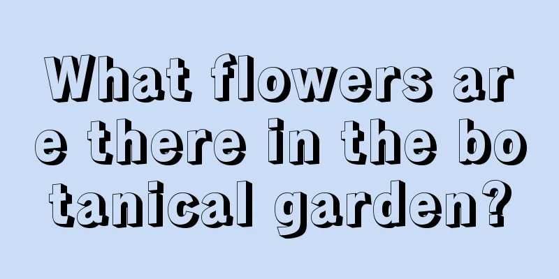 What flowers are there in the botanical garden?