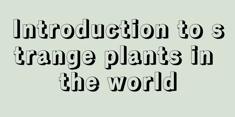 Introduction to strange plants in the world