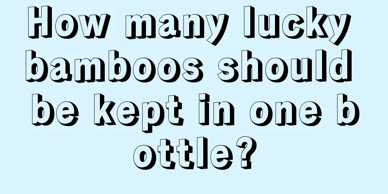 How many lucky bamboos should be kept in one bottle?