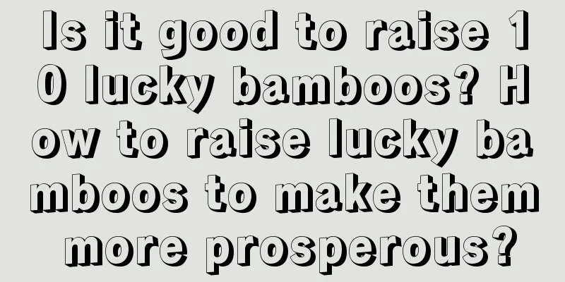 Is it good to raise 10 lucky bamboos? How to raise lucky bamboos to make them more prosperous?