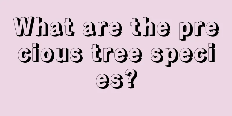 What are the precious tree species?