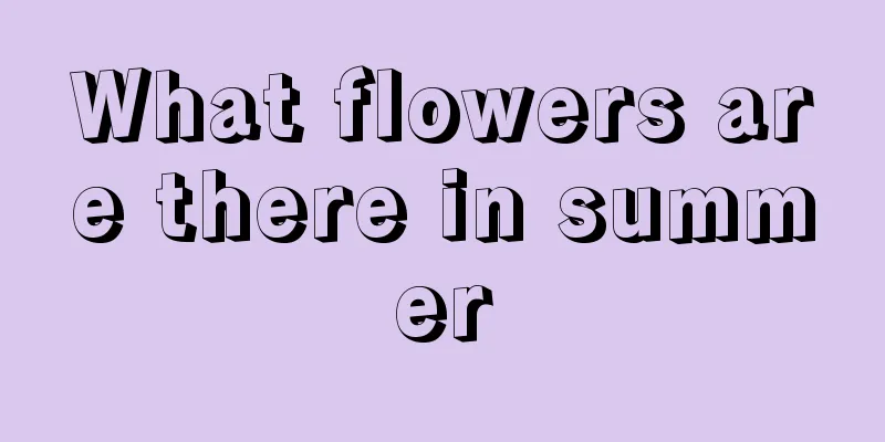 What flowers are there in summer