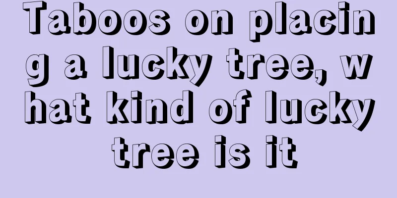 Taboos on placing a lucky tree, what kind of lucky tree is it