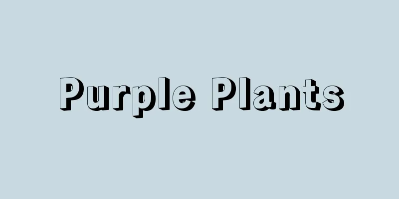 Purple Plants