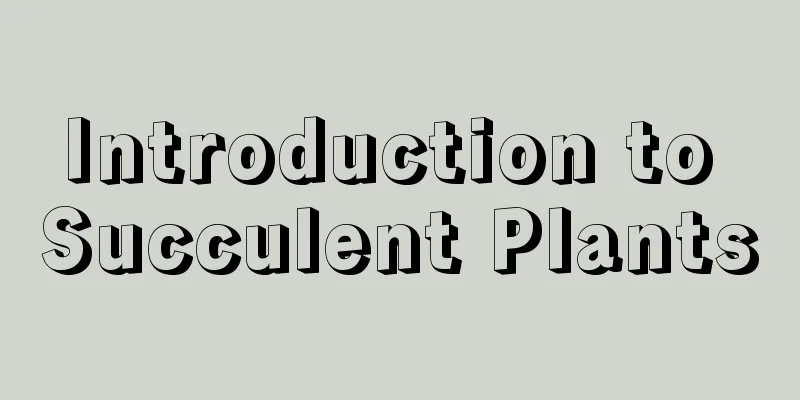 Introduction to Succulent Plants