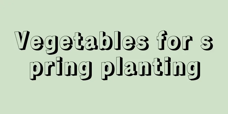 Vegetables for spring planting