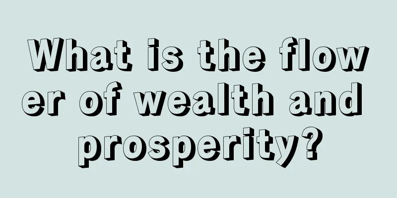 What is the flower of wealth and prosperity?