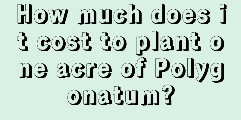 How much does it cost to plant one acre of Polygonatum?