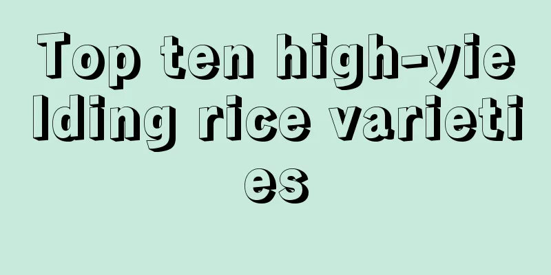 Top ten high-yielding rice varieties