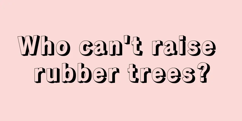 Who can't raise rubber trees?