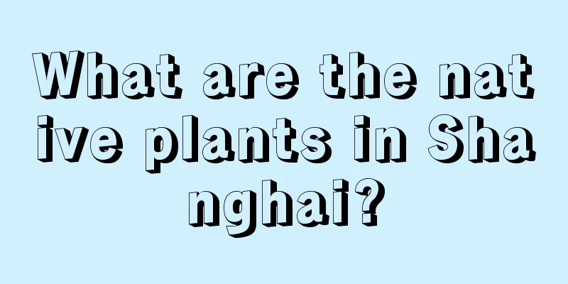 What are the native plants in Shanghai?