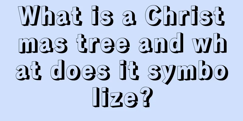 What is a Christmas tree and what does it symbolize?