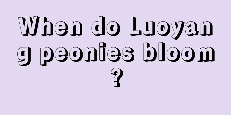 When do Luoyang peonies bloom?