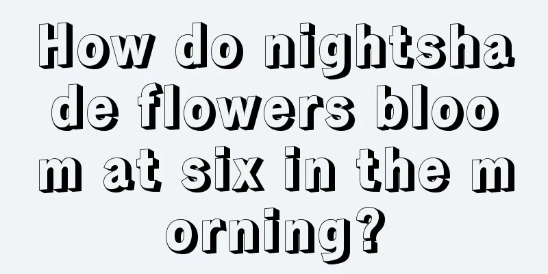 How do nightshade flowers bloom at six in the morning?