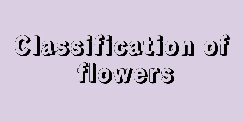 Classification of flowers