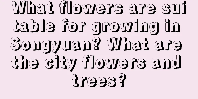 What flowers are suitable for growing in Songyuan? What are the city flowers and trees?