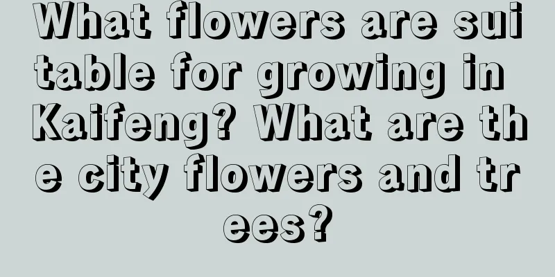 What flowers are suitable for growing in Kaifeng? What are the city flowers and trees?