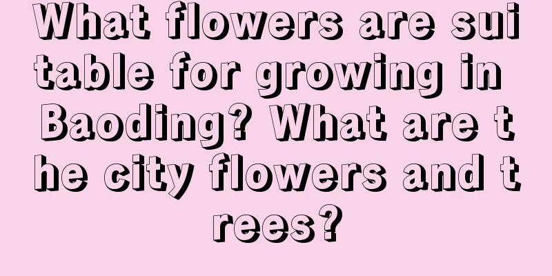 What flowers are suitable for growing in Baoding? What are the city flowers and trees?