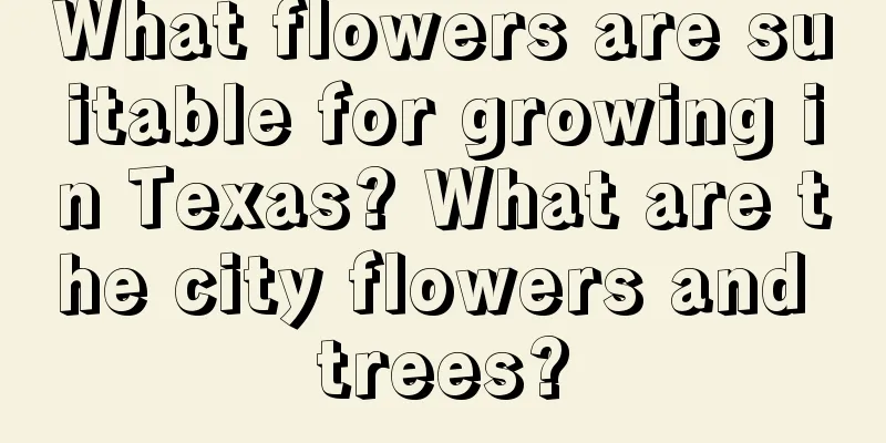 What flowers are suitable for growing in Texas? What are the city flowers and trees?