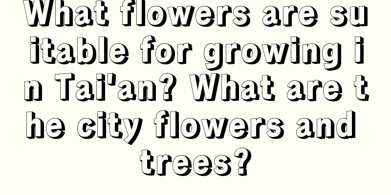 What flowers are suitable for growing in Tai'an? What are the city flowers and trees?