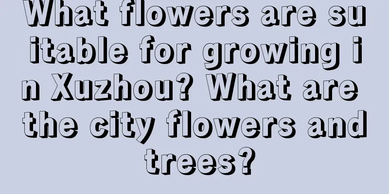 What flowers are suitable for growing in Xuzhou? What are the city flowers and trees?