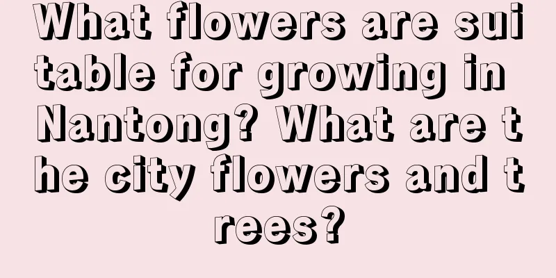 What flowers are suitable for growing in Nantong? What are the city flowers and trees?