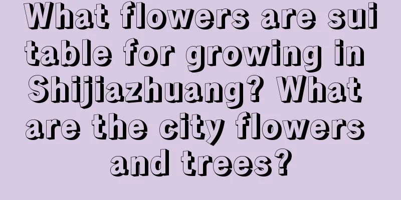 What flowers are suitable for growing in Shijiazhuang? What are the city flowers and trees?