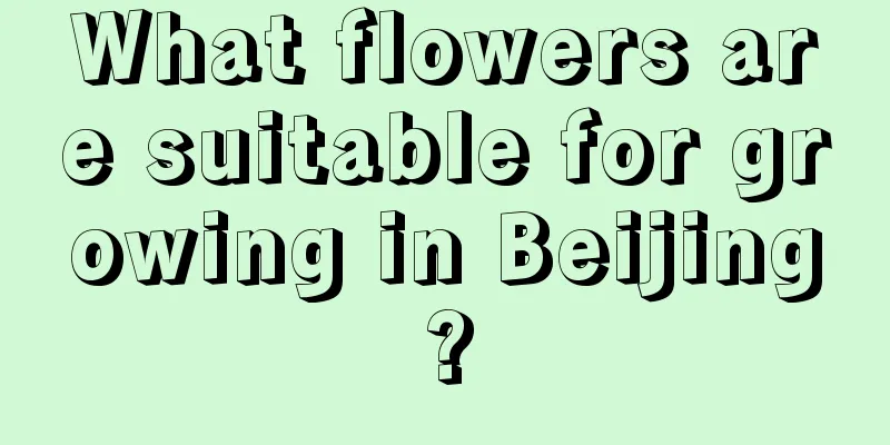 What flowers are suitable for growing in Beijing?