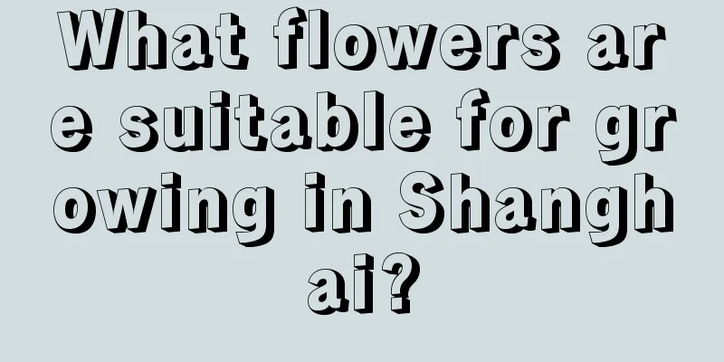 What flowers are suitable for growing in Shanghai?