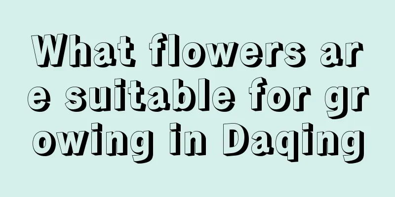 What flowers are suitable for growing in Daqing