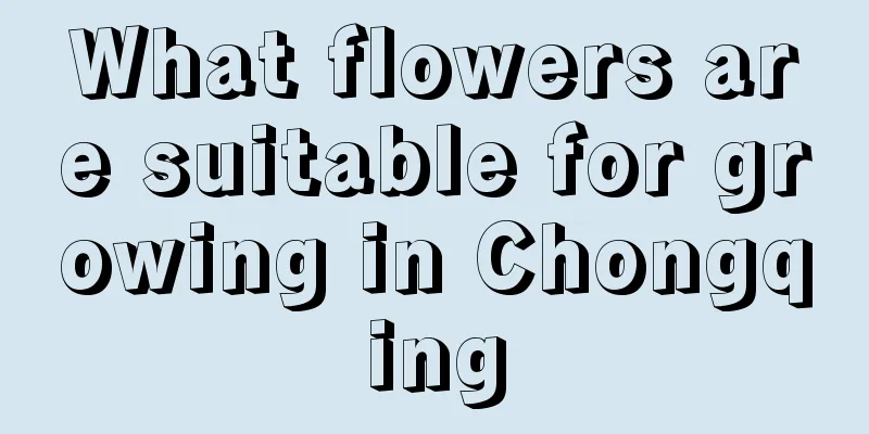 What flowers are suitable for growing in Chongqing