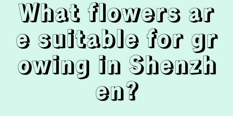 What flowers are suitable for growing in Shenzhen?