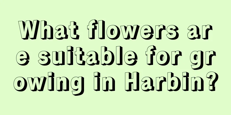 What flowers are suitable for growing in Harbin?