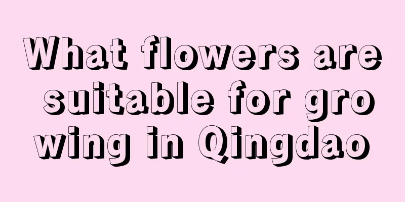 What flowers are suitable for growing in Qingdao