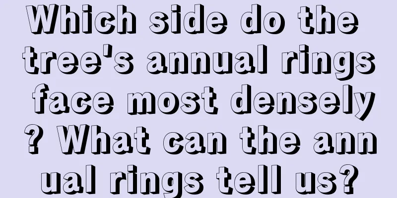 Which side do the tree's annual rings face most densely? What can the annual rings tell us?