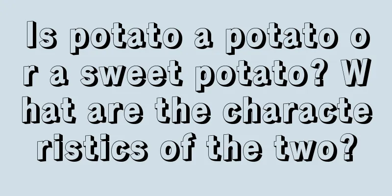 Is potato a potato or a sweet potato? What are the characteristics of the two?