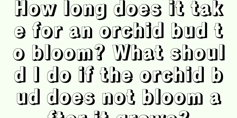 How long does it take for an orchid bud to bloom? What should I do if the orchid bud does not bloom after it grows?