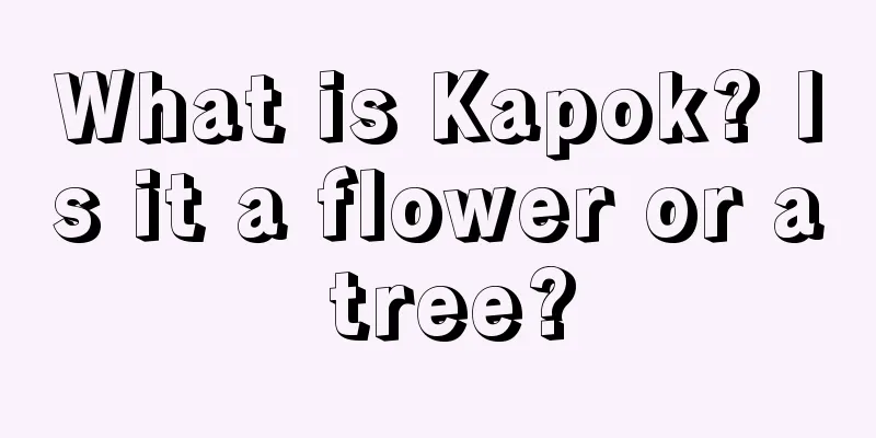 What is Kapok? Is it a flower or a tree?