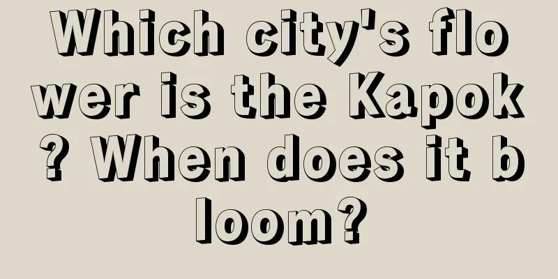 Which city's flower is the Kapok? When does it bloom?