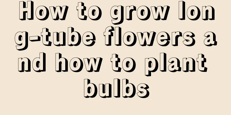 How to grow long-tube flowers and how to plant bulbs