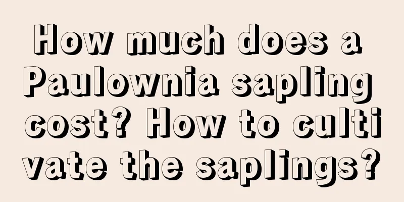 How much does a Paulownia sapling cost? How to cultivate the saplings?