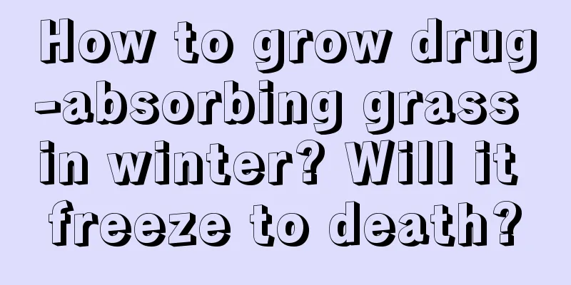 How to grow drug-absorbing grass in winter? Will it freeze to death?