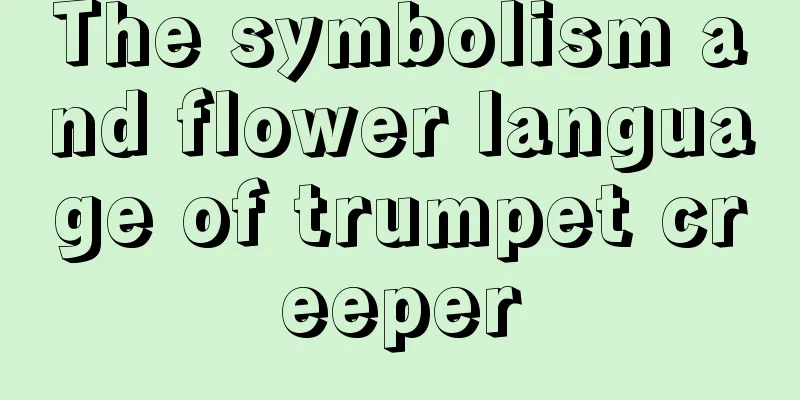 The symbolism and flower language of trumpet creeper