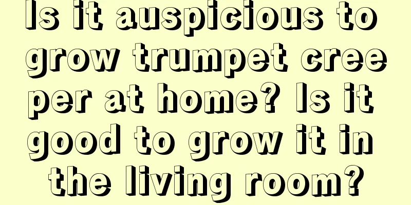 Is it auspicious to grow trumpet creeper at home? Is it good to grow it in the living room?