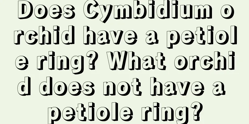 Does Cymbidium orchid have a petiole ring? What orchid does not have a petiole ring?